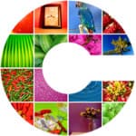 Crypto Photo logo