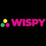 TheWiSpy logo