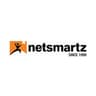 Netsmartz logo