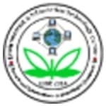 UIZ for Virtual Employee, Web design logo