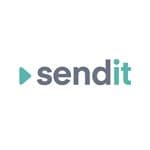 send it logo