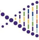 MYPACKBRAIN logo