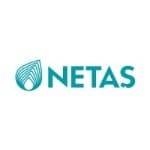 NETAS logo