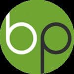 BitsnPixs logo