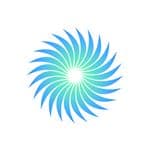 Wise Dimes logo