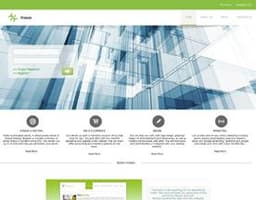 Finexe Web logo