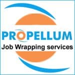 Propellum Infotech logo