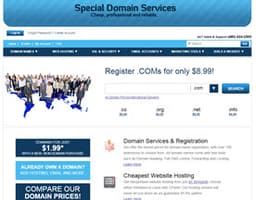 Special Domain Services logo