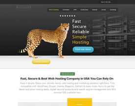DDS Hosting