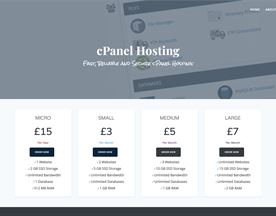 Torpix Hosting Solutions