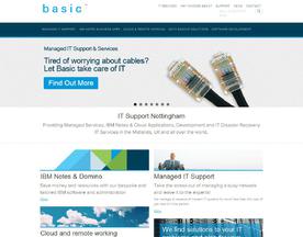 Basic Business Systems