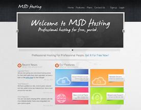 MSD Hosting