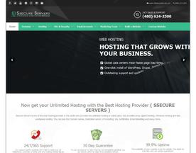 Ssecure Servers