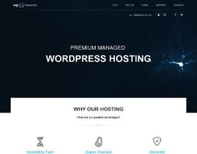 WP Neuron