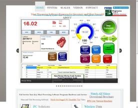 Progressive Scale and Software Solutions