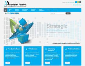 Decision Analyst