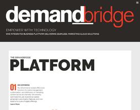 DemandBridge