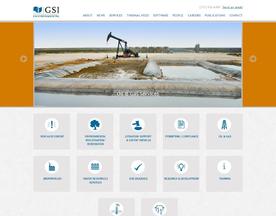 GSI Environmental Inc.