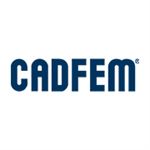 CADFEM INDIA