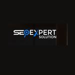 seoexpertsolutions
